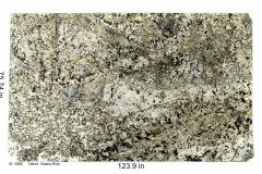 Alaska Blue Dual granite.  This Mid range granite is loaded with Mica and blue quartz inclusions with a nice bright white bedrock.  The pattern is non directional and comes in a dual finish with polished and leathered as the options.