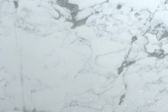 Arabescato-Close-Up-SS5487