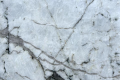 Arctic-White-Close-Up-SS5582