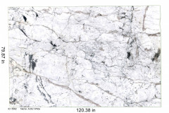 Arctic-White-SS5582