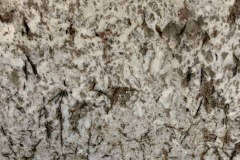 Bianco Antico 2124-Close-Up