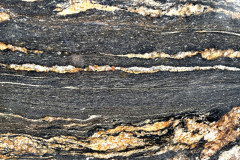 Black-Taurus-Close-Up-SS5137