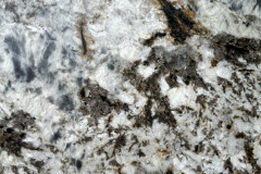 Blue-Flower-Dual-Close-Up-SS5098