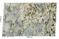 Blue-Thoria-3534