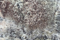 Bordeaux River Close Up