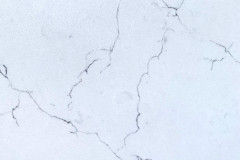 Calacatta Fossil Close-Up