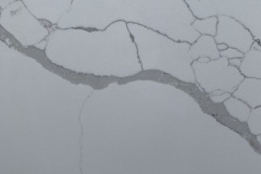 Calacatta Supremo Close Up