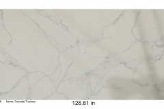 Calacatta Tuscany quartz. White base with smoky light gray veining. Mid range price.