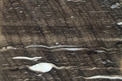 Cinza Nyabirus Close-Up