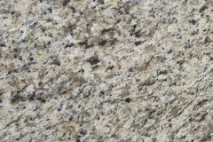 Giallo Ornamental Close Up