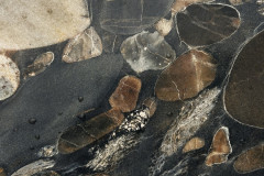 Gold-Marinace-close-up-SS4423