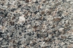 New Caledonia Close Up