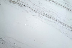 Palissandro-Close-Up-SS5510