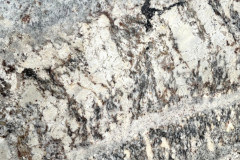 White-Spring-Close-SS5352