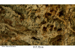 Rogue-Slab-12-Netuno-Bordeaux-3632