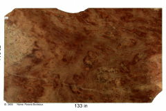 Rogue-Slab-18A-Piranha-3655