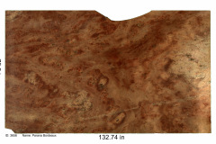 Rogue-Slab-18B-Piranha-3656