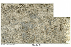 Rogue-Slab-19-Blue-Flower-3678