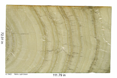 Rogue-Slab-7A-Light-Green-Quartzite-3622